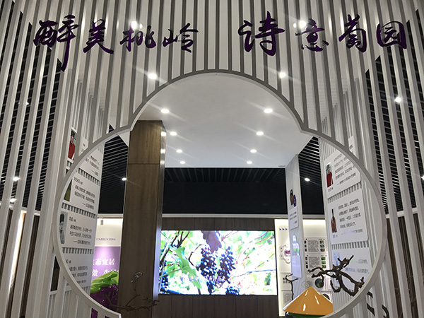 004-5葡萄文化展览馆.jpg