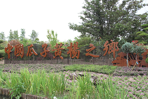 园艺村2.jpg
