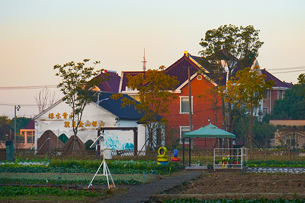 塘湾村秋景1.jpg