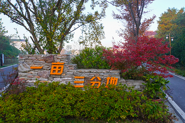 塘湾村秋景6.jpg