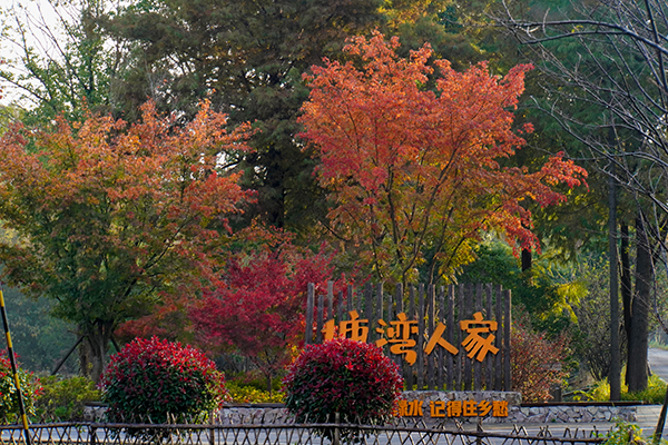 塘湾村秋景8.jpg