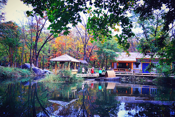 图片1：灯照吉祥.jpg