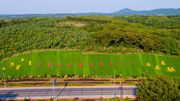 中国北方苗圃花卉之乡_看图王.jpg