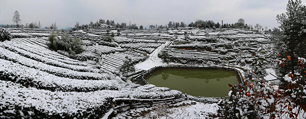 1.4雪润千山.jpg