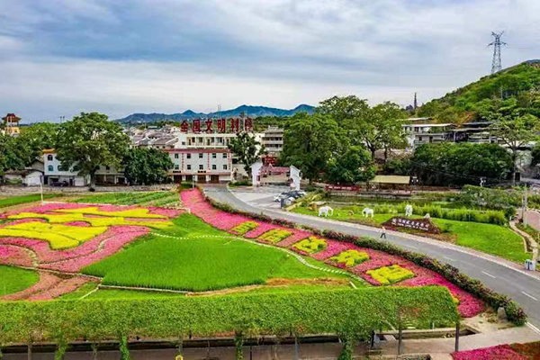 图片17.全国文明村-昔格达村村景3.jpg