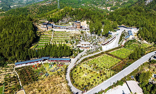 图片18.石上生花景区.jpg