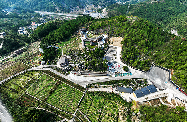 图片19.石上生花俯视图.jpg