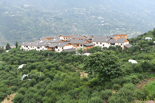 图片10：曲尺柑园村貌.JPG