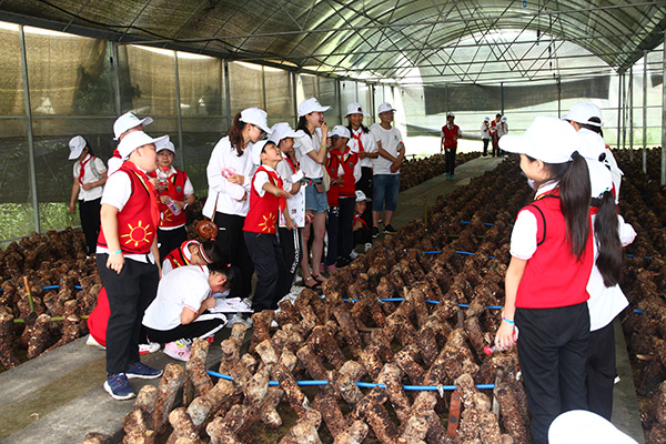5.食用菌研学旅行.jpg
