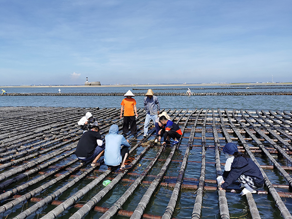 图片12：海上牧场.jpg