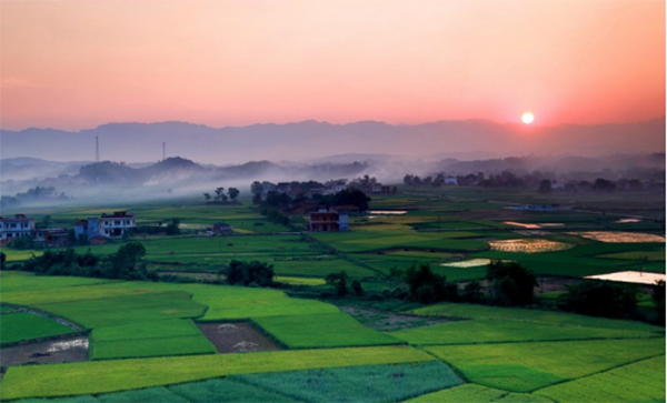 5 景区四周温馨的田园风景.png