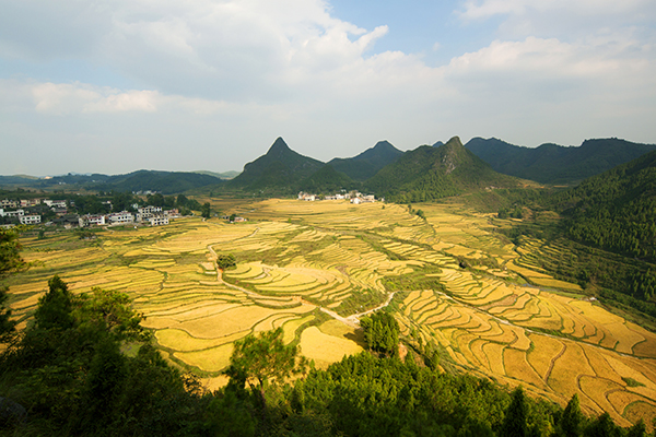 地理标志产品—郭家湾贡米基地.jpg