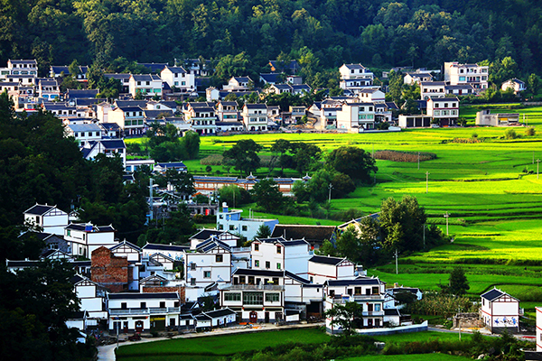 图7：鲤鱼全景.jpg