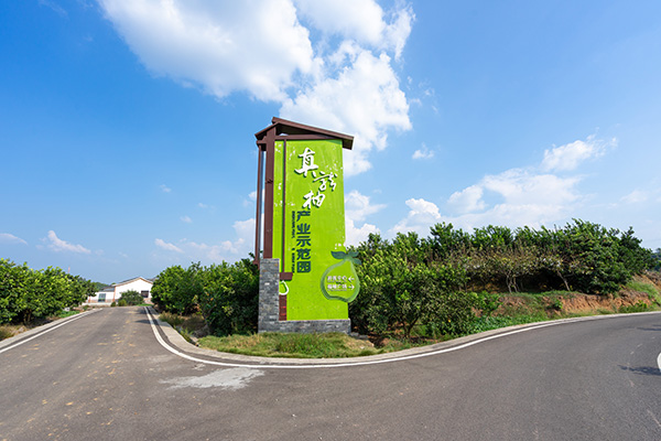 14真龙柚园区入口.jpg