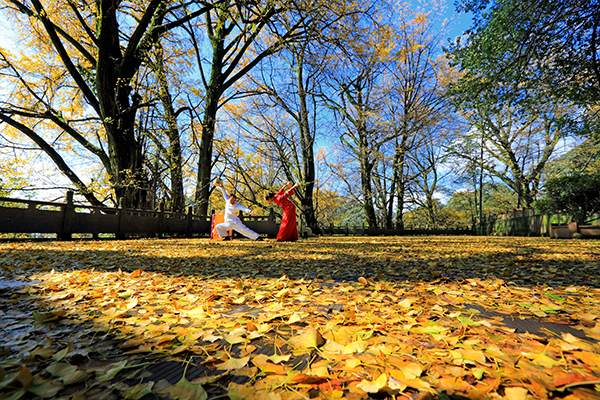 非遗文化蒙顶山茶艺——龙行十八式.jpg