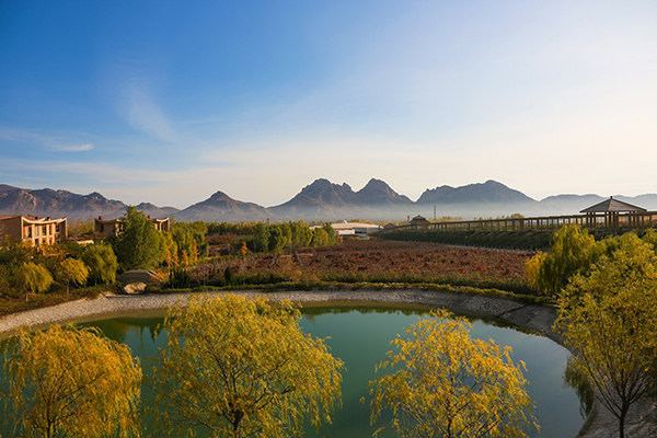 4.酒庄美景（秋）.jpg