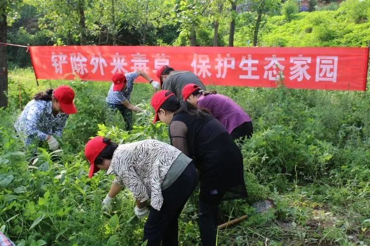 微信图片_20231229221437.jpg