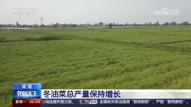 QQ截图20240422154504.png