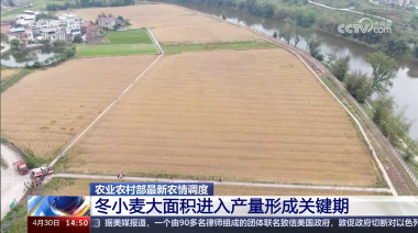 QQ截图20240506145418.png