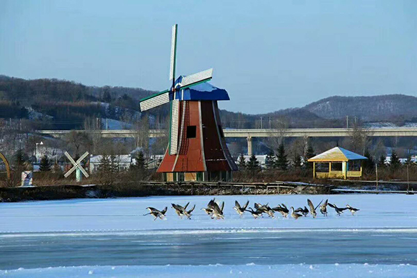 图片8：碧水庄园冬季风景.jpg