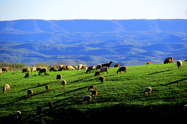 2.新疆裕民县巴尔鲁克山风景区.jpg