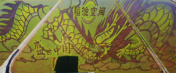 稻鱼空间 (1).png