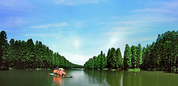 水上森林全景.jpg