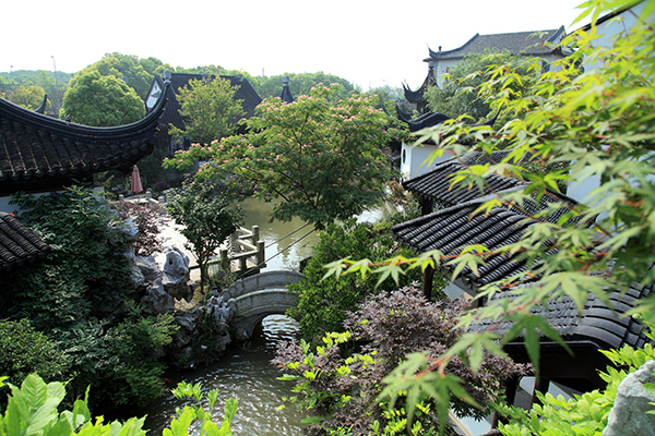缘园5.JPG