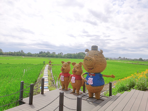 铁力市北星村田园景观.jpg