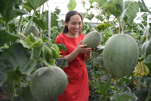 四季采摘基地.jpg