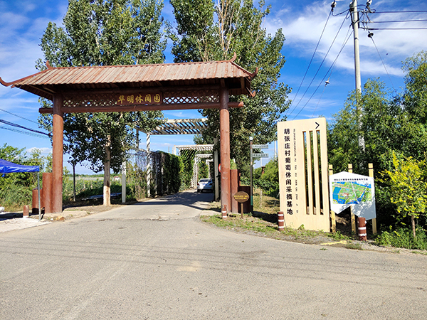 图片2：胡张庄葡萄采摘基地入口.jpg