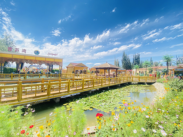 青芦湾农庄荷花观景带.png