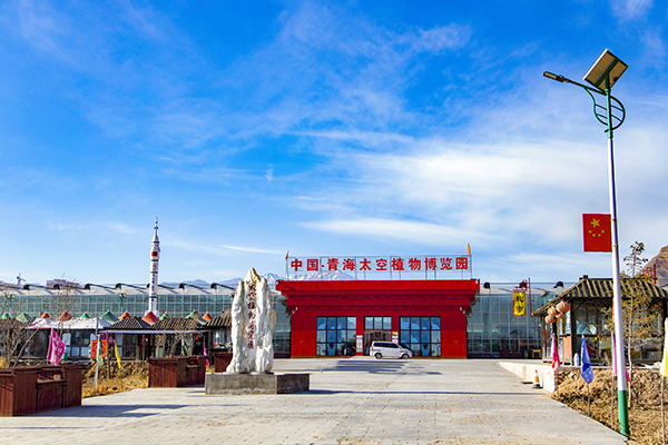 6.太空植物博览园.JPG