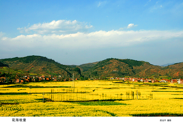 图片5：汉阴油菜花旅游季.jpg