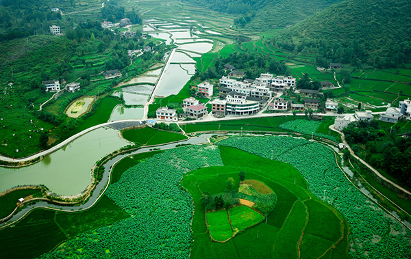 青年湖村.jpg