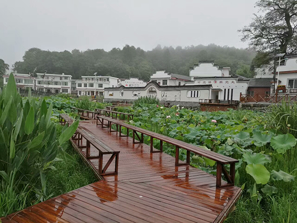 中国美丽休闲乡村—青年湖村1.jpg