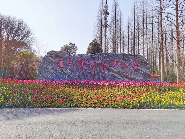 东平国家森林公园-2.jpg