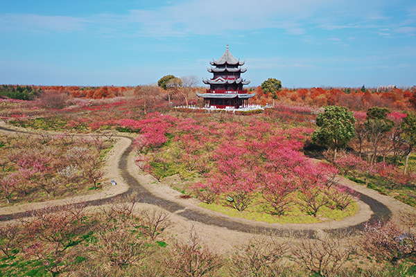 森林公园2.jpg