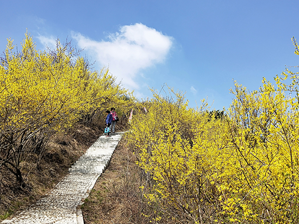 黄花岭3.jpg