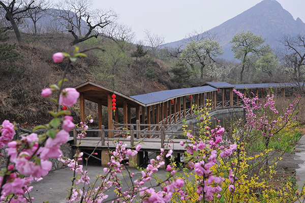 2中国美丽休闲乡村——山叶口村春季踏青观花节.jpg