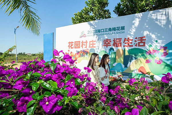 农庄入口.jpg