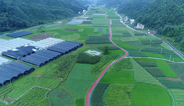 图片8：马倌屯产业全景.png