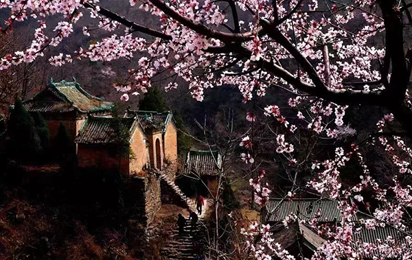 王屋桃花山4.jpg