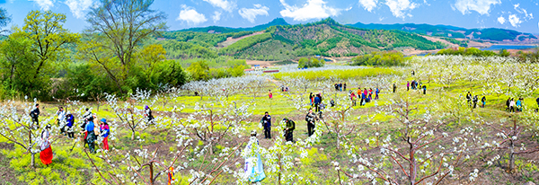 15.观光休闲 花盛人欢.jpg