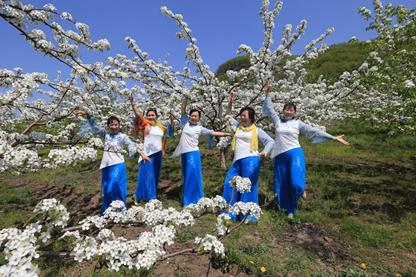 园区介绍 游客梨花舞.jpg
