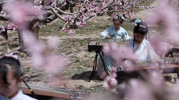 7.桃花林中才艺演出.png