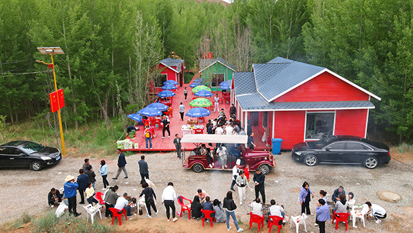 DJI_0595.jpg