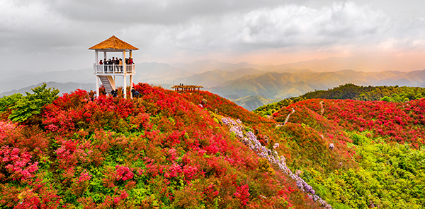 四八门 (1).jpg