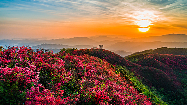 四八门 (3).jpg