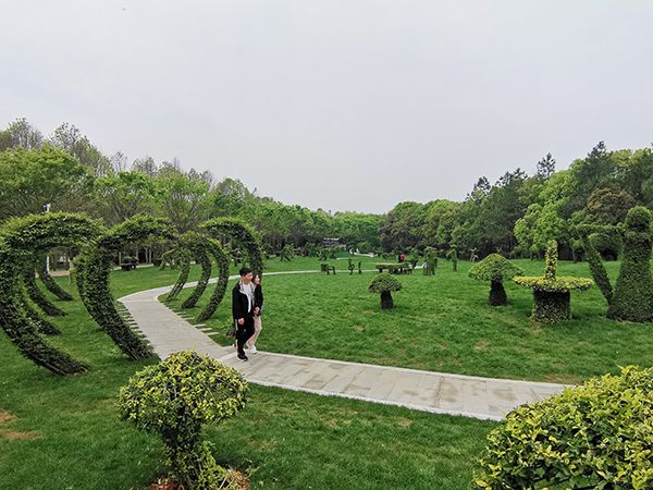 5.南昌县凤凰沟景区艺树坊.jpg